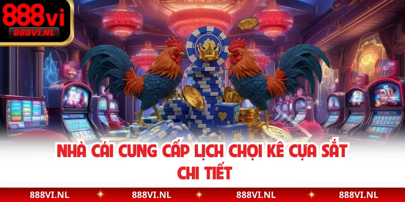 Nhà cái cung cấp lịch chọi kê cựa sắt chi tiết